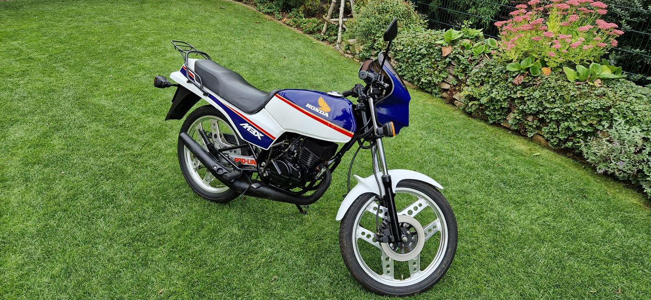 Honda MBX 50 in der Frontansicht
